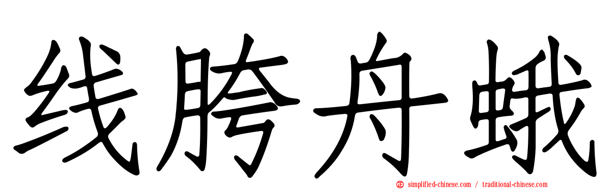 线胯舟蛾