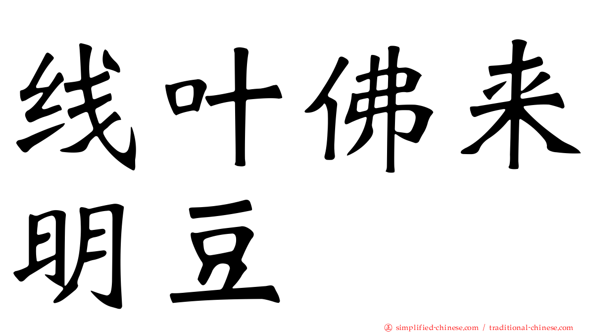 线叶佛来明豆