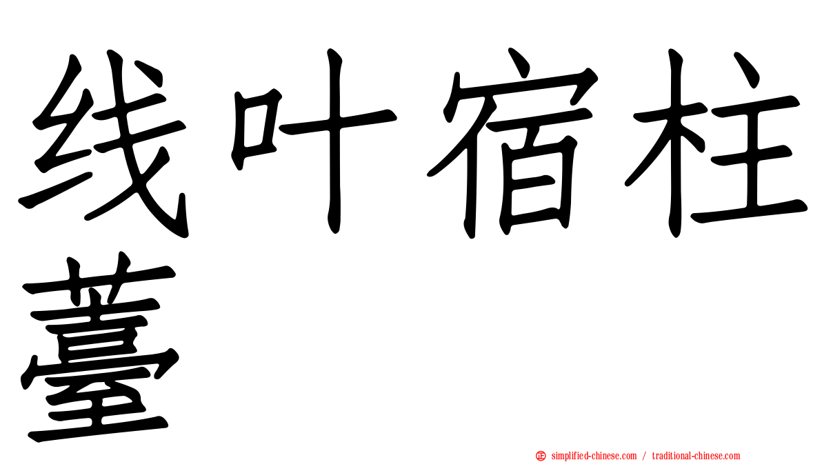 线叶宿柱薹