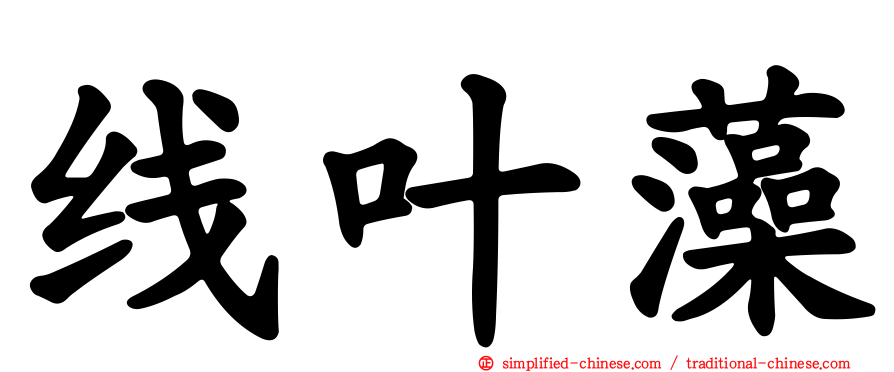 线叶藻