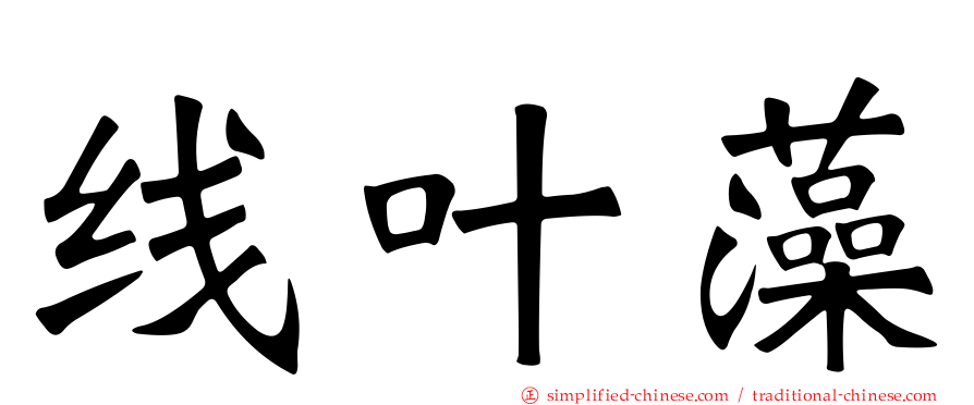 线叶藻