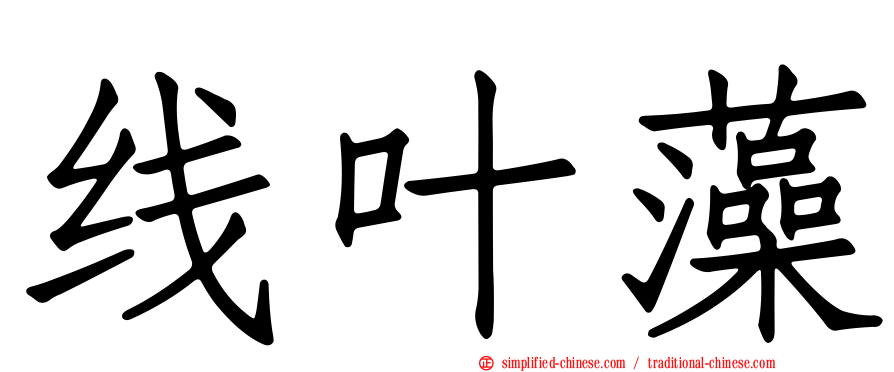 线叶藻