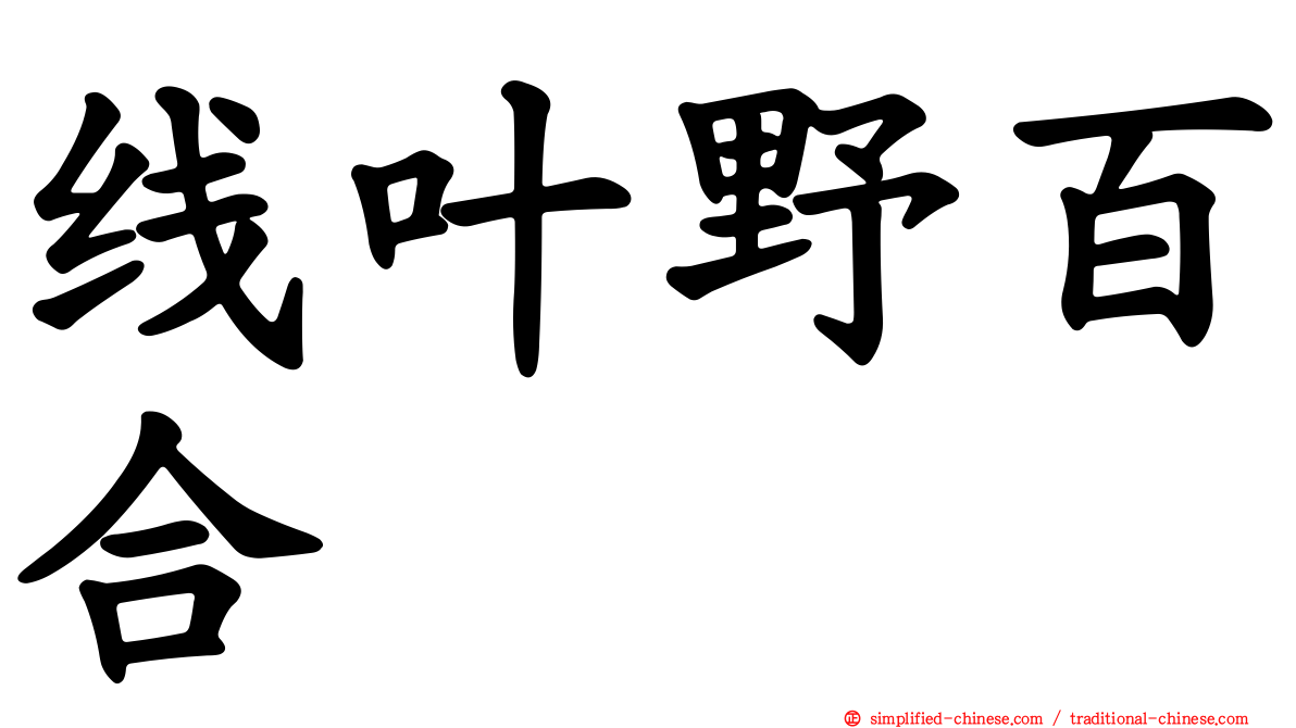 线叶野百合