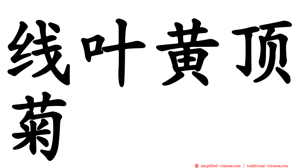 线叶黄顶菊