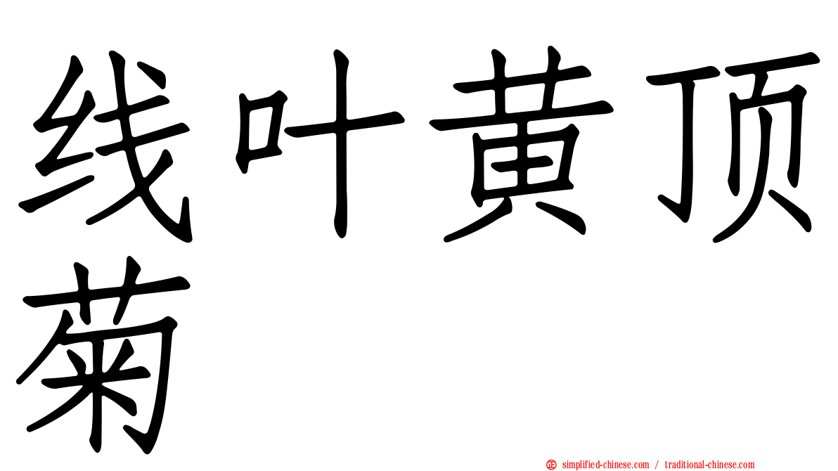 线叶黄顶菊