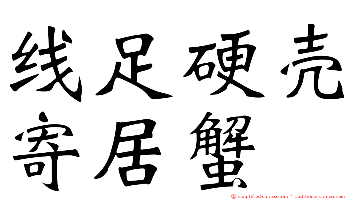 线足硬壳寄居蟹