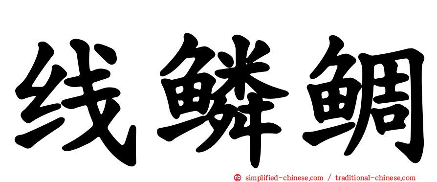 线鳞鲷
