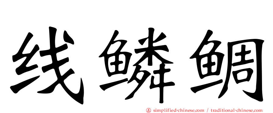 线鳞鲷