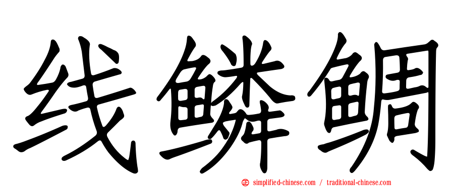 线鳞鲷
