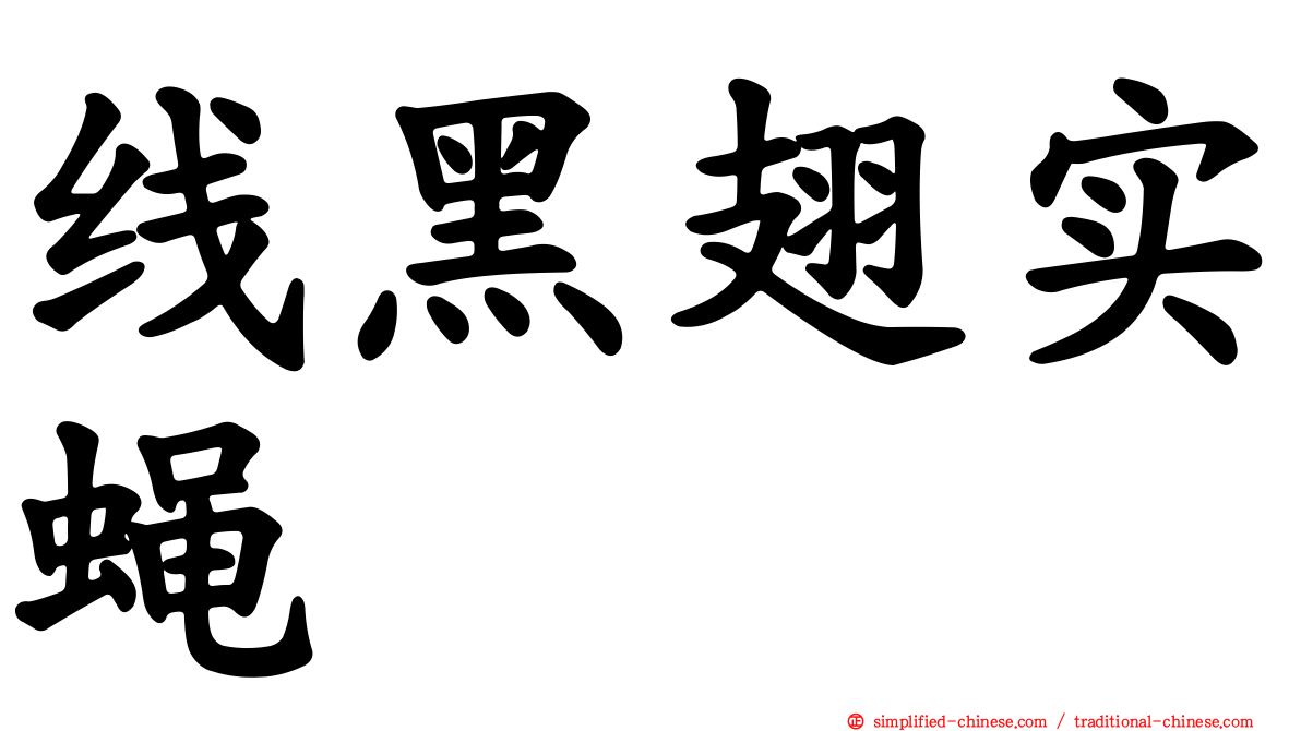 线黑翅实蝇