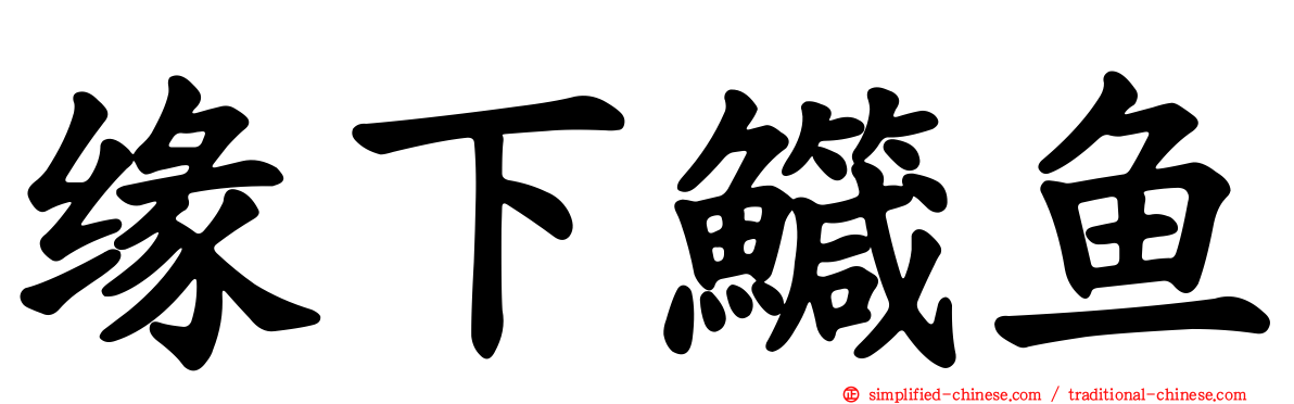 缘下鱵鱼