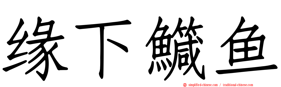 缘下鱵鱼
