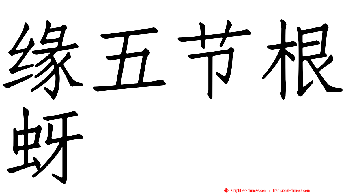 缘五节根蚜
