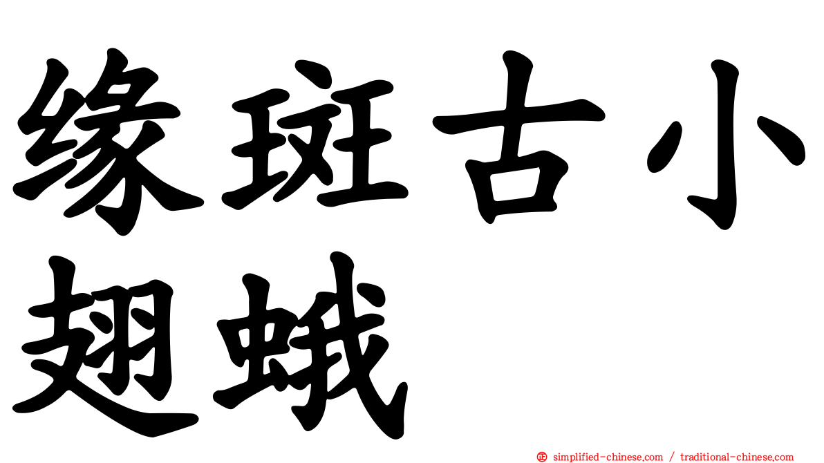 缘斑古小翅蛾