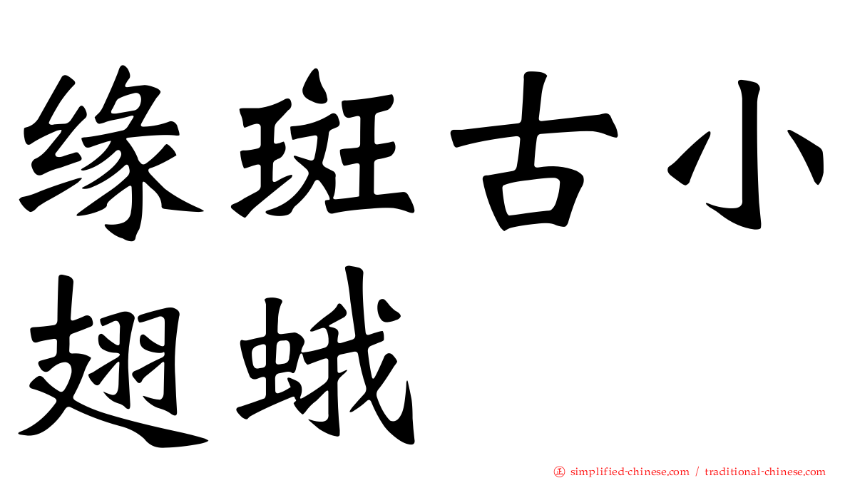 缘斑古小翅蛾