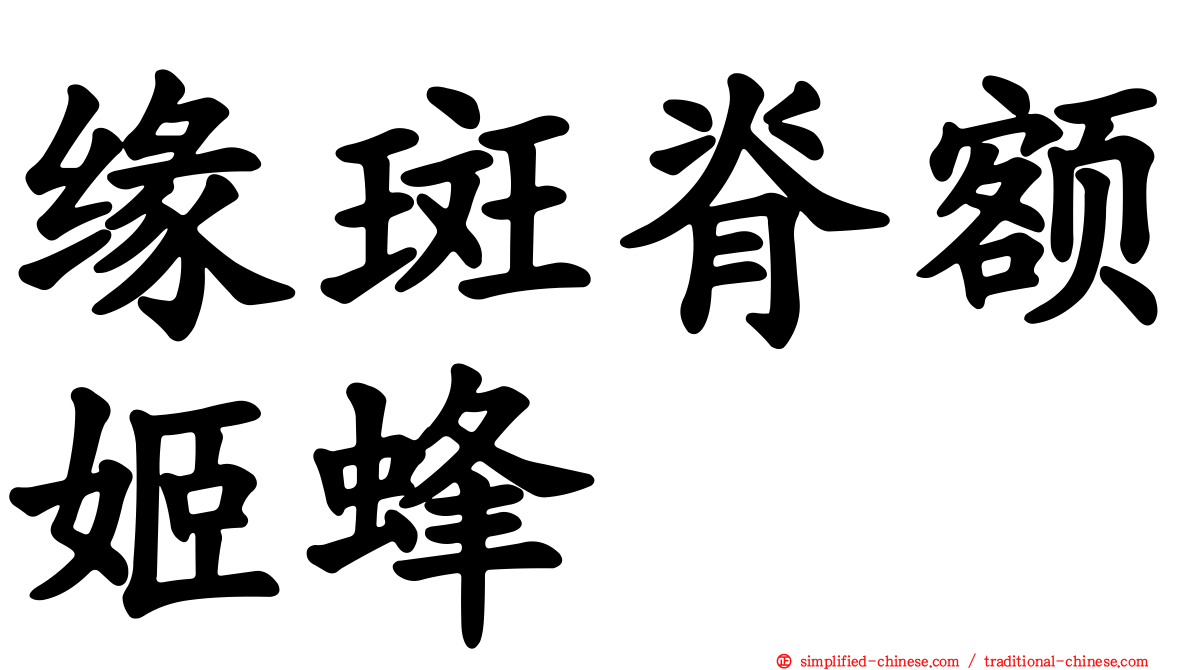 缘斑脊额姬蜂