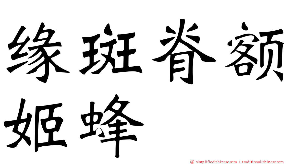 缘斑脊额姬蜂
