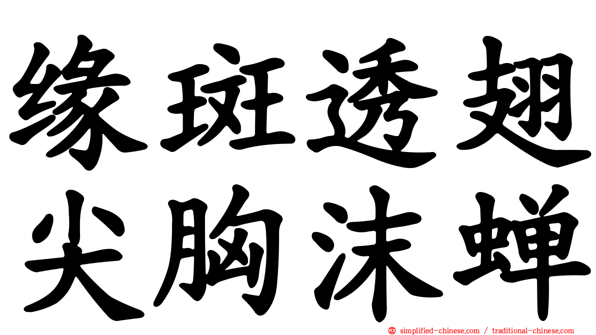缘斑透翅尖胸沫蝉