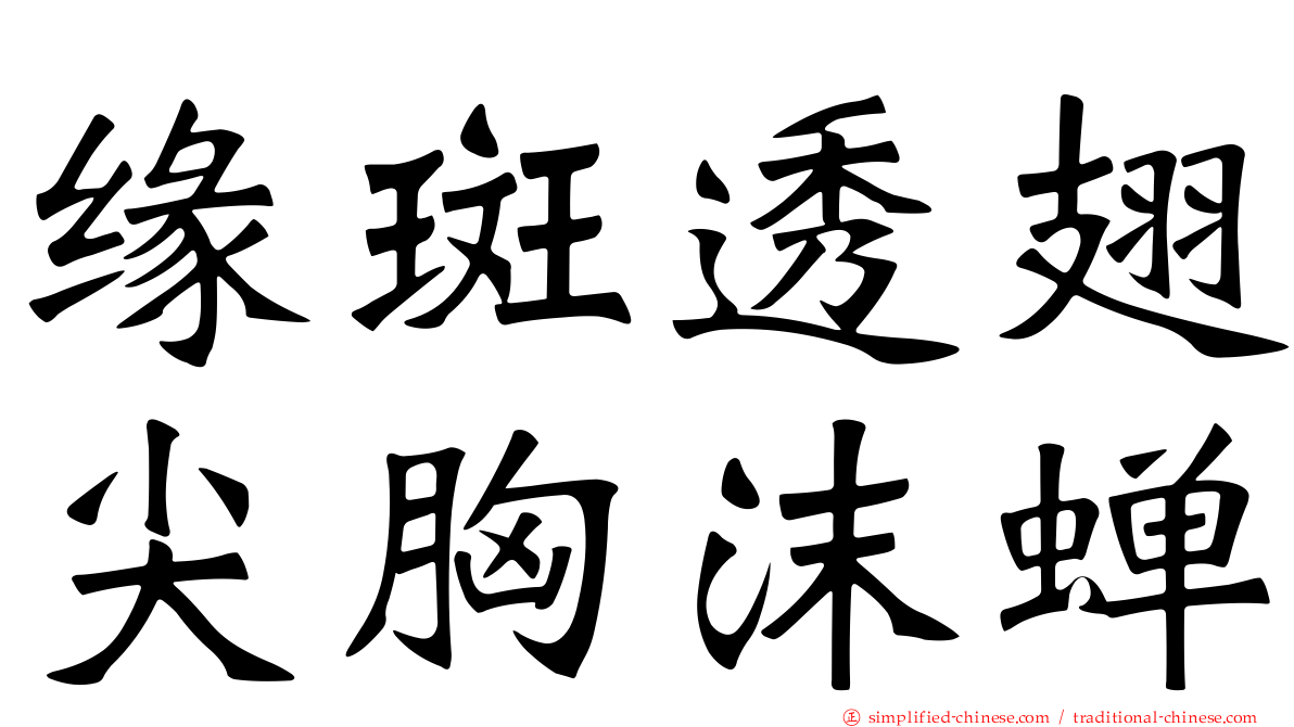 缘斑透翅尖胸沫蝉