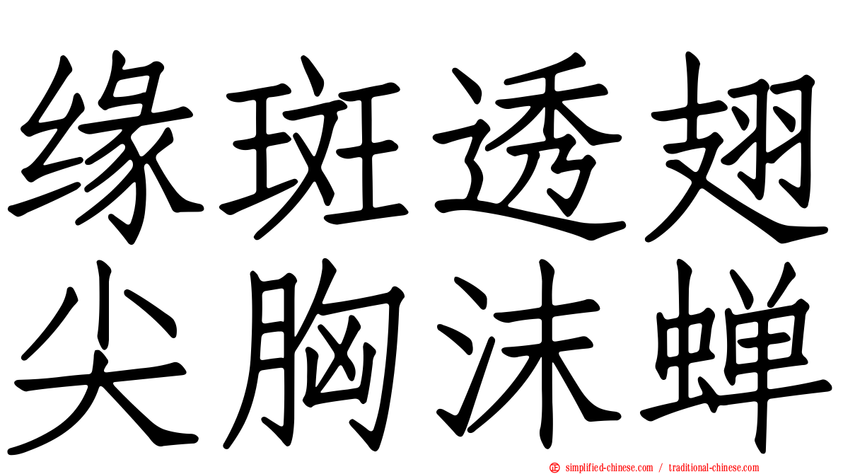 缘斑透翅尖胸沫蝉
