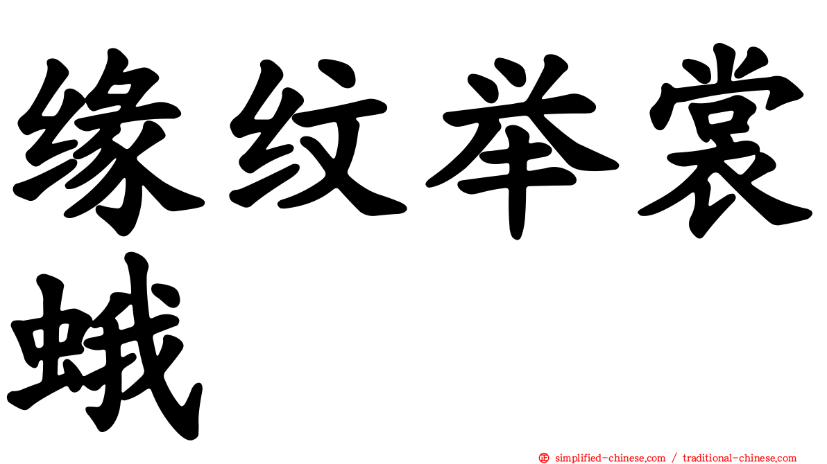 缘纹举裳蛾