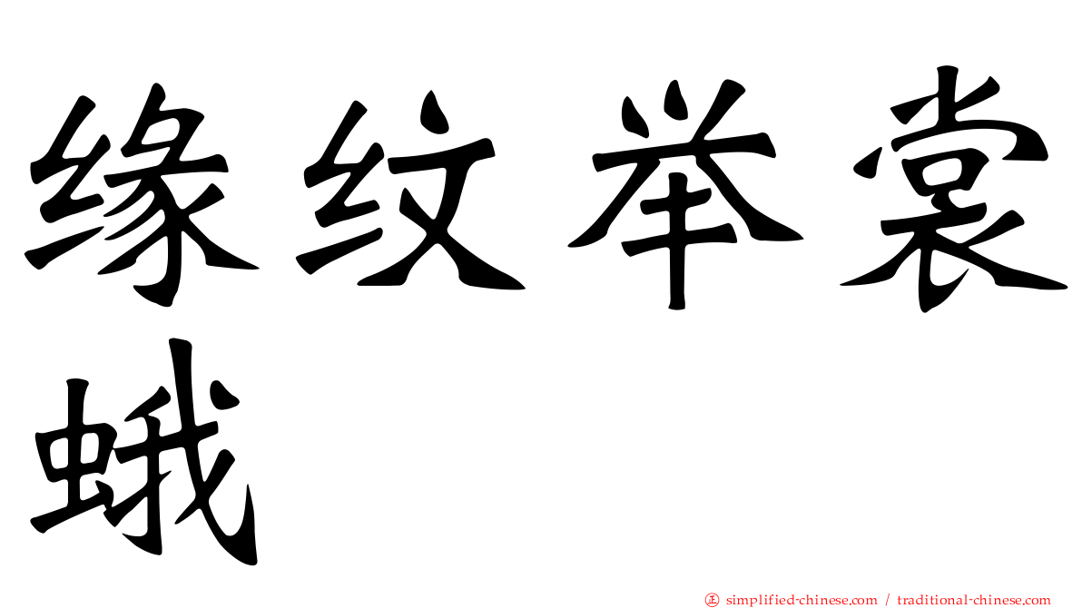缘纹举裳蛾