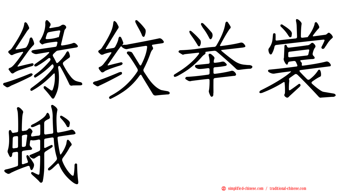 缘纹举裳蛾