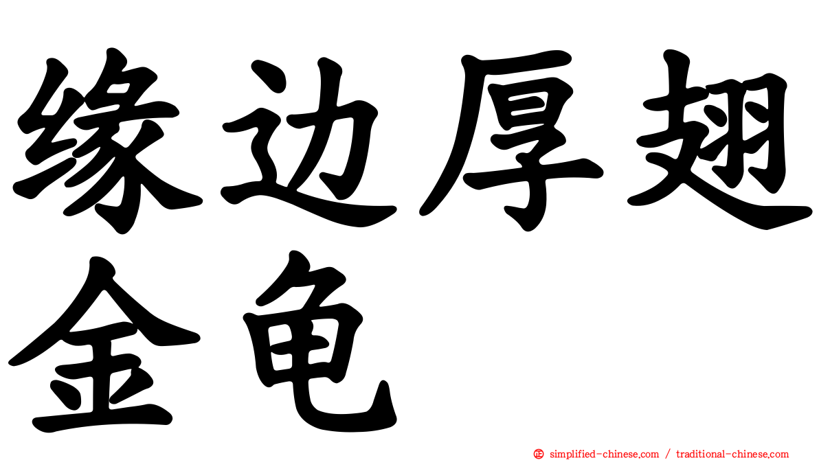 缘边厚翅金龟