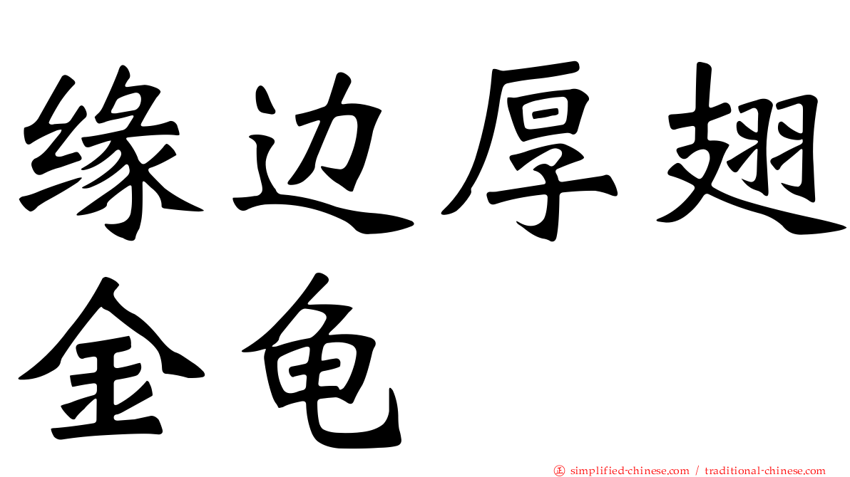 缘边厚翅金龟
