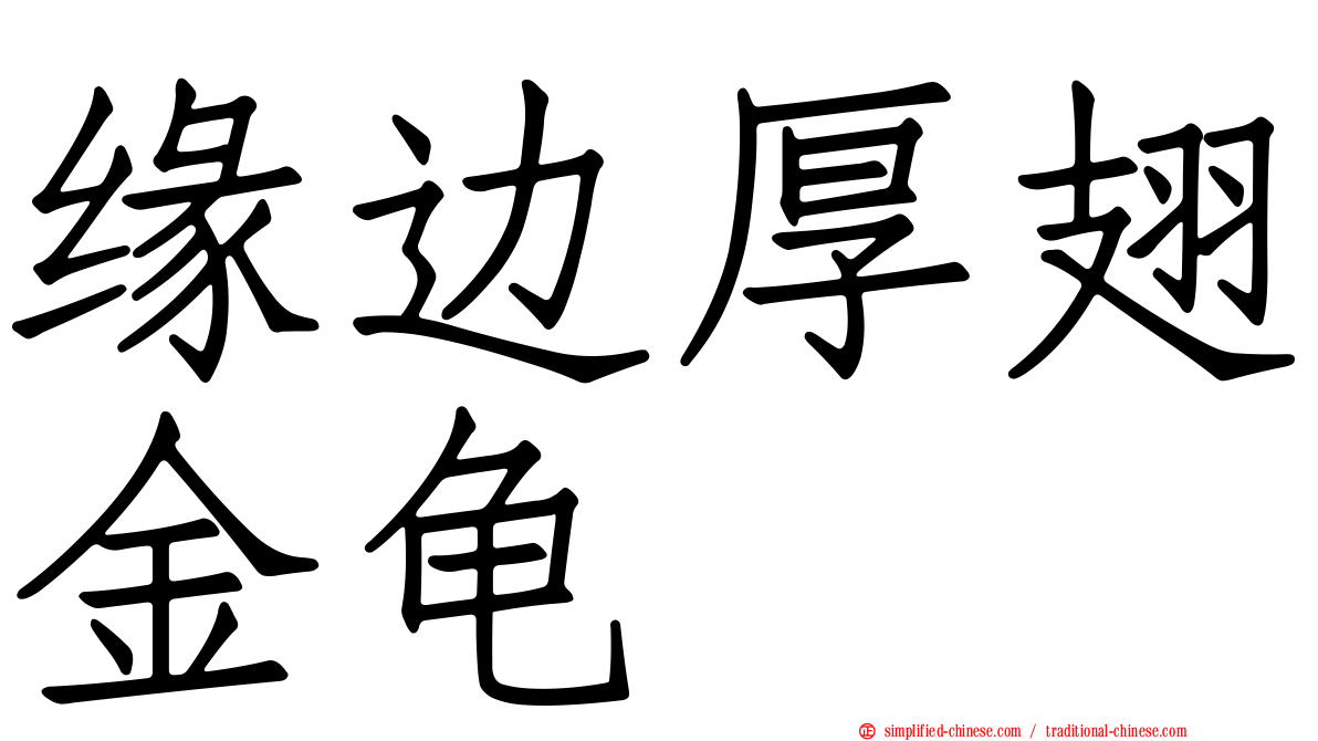 缘边厚翅金龟