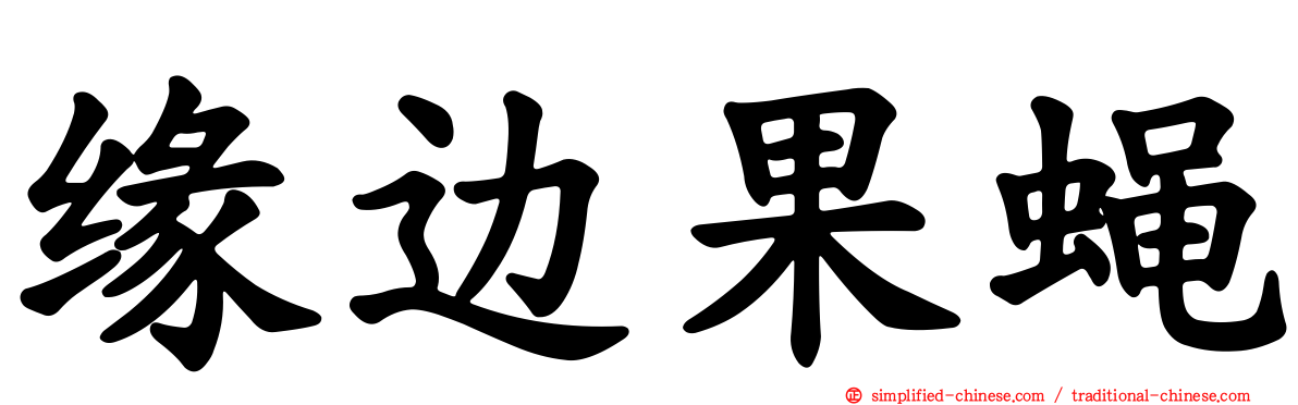 缘边果蝇