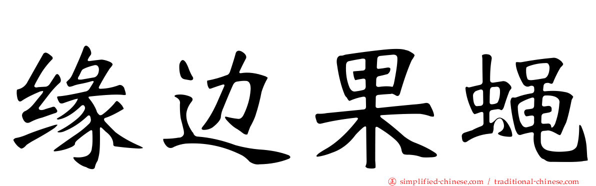 缘边果蝇