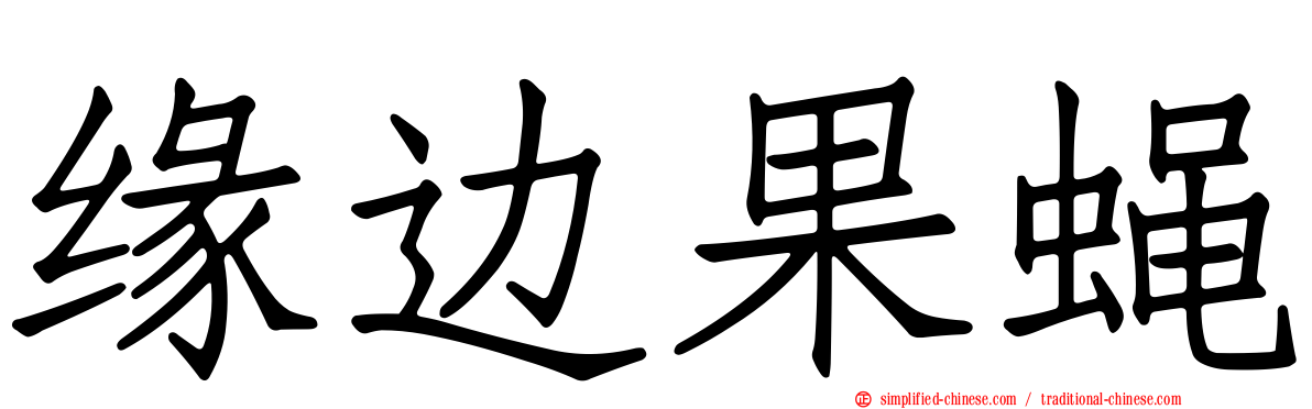 缘边果蝇