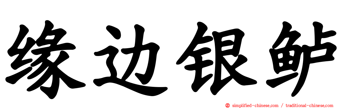 缘边银鲈