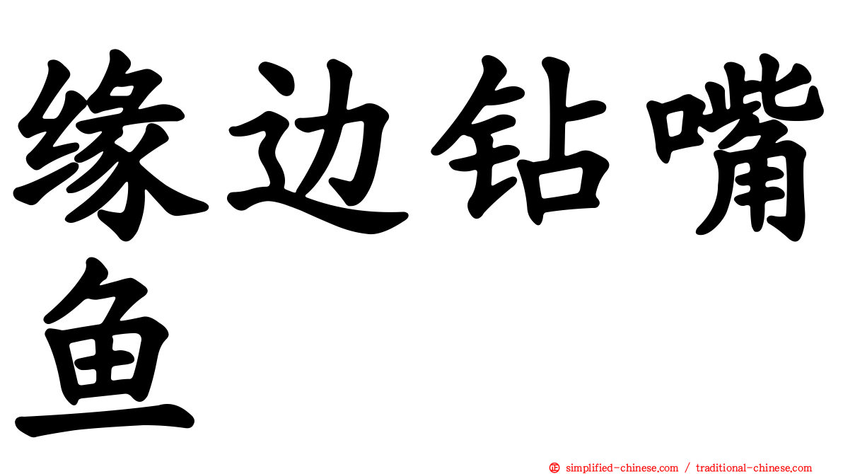 缘边钻嘴鱼