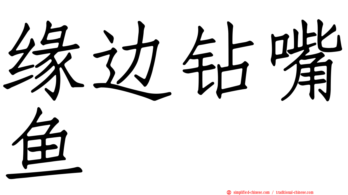 缘边钻嘴鱼