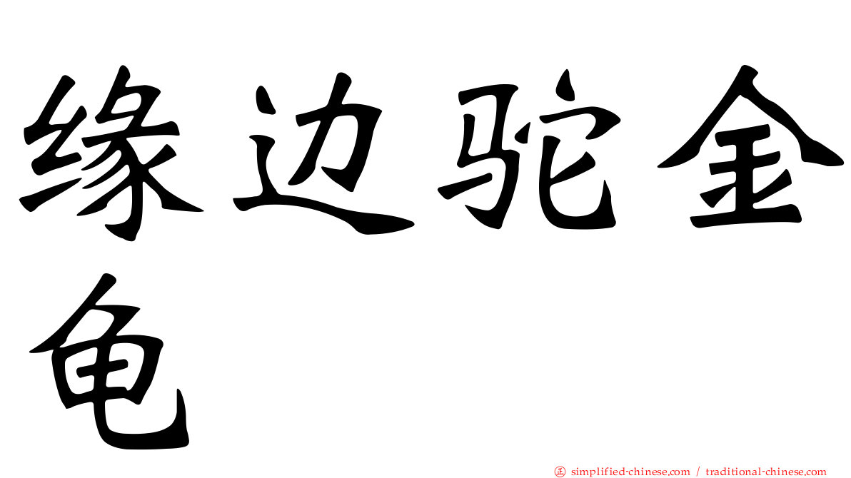 缘边驼金龟