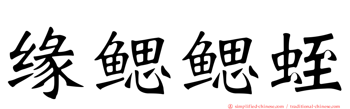 缘鳃鳃蛭