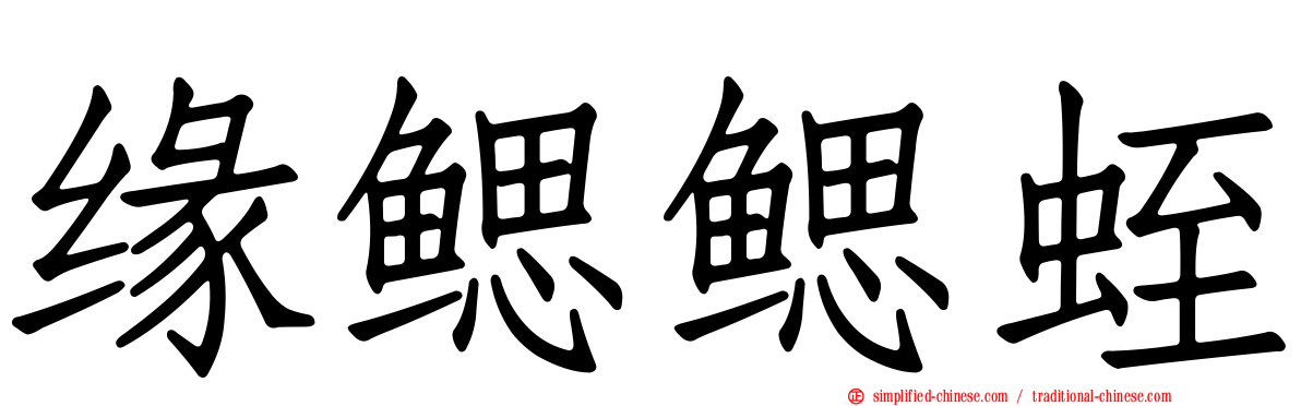 缘鳃鳃蛭