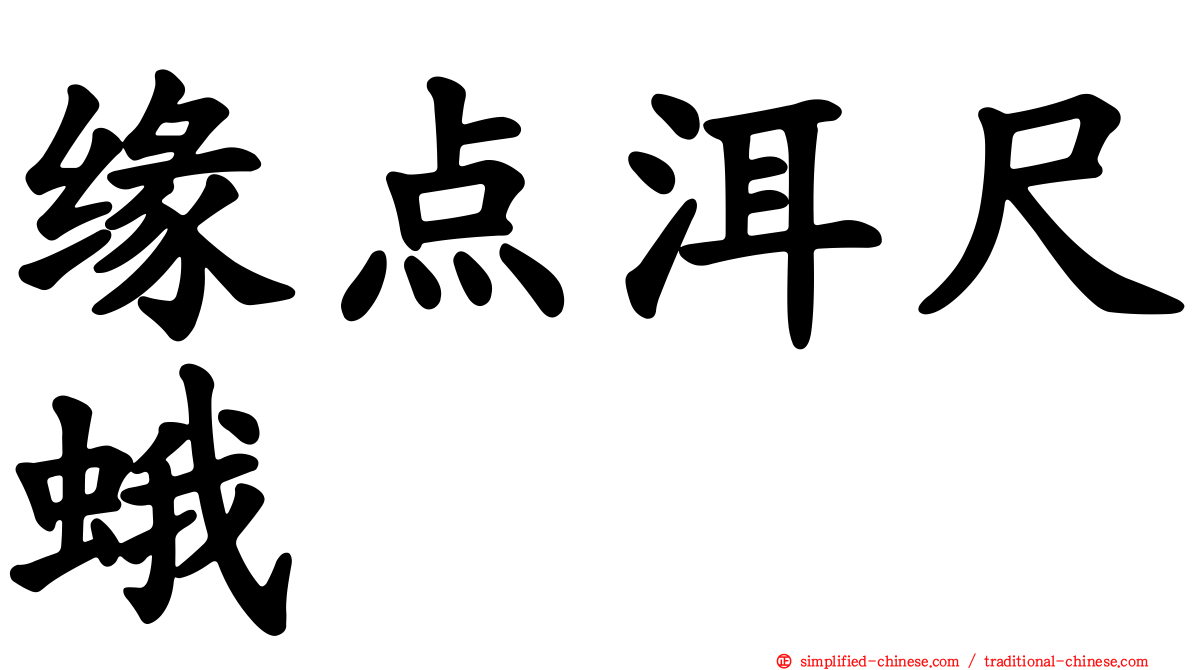 缘点洱尺蛾