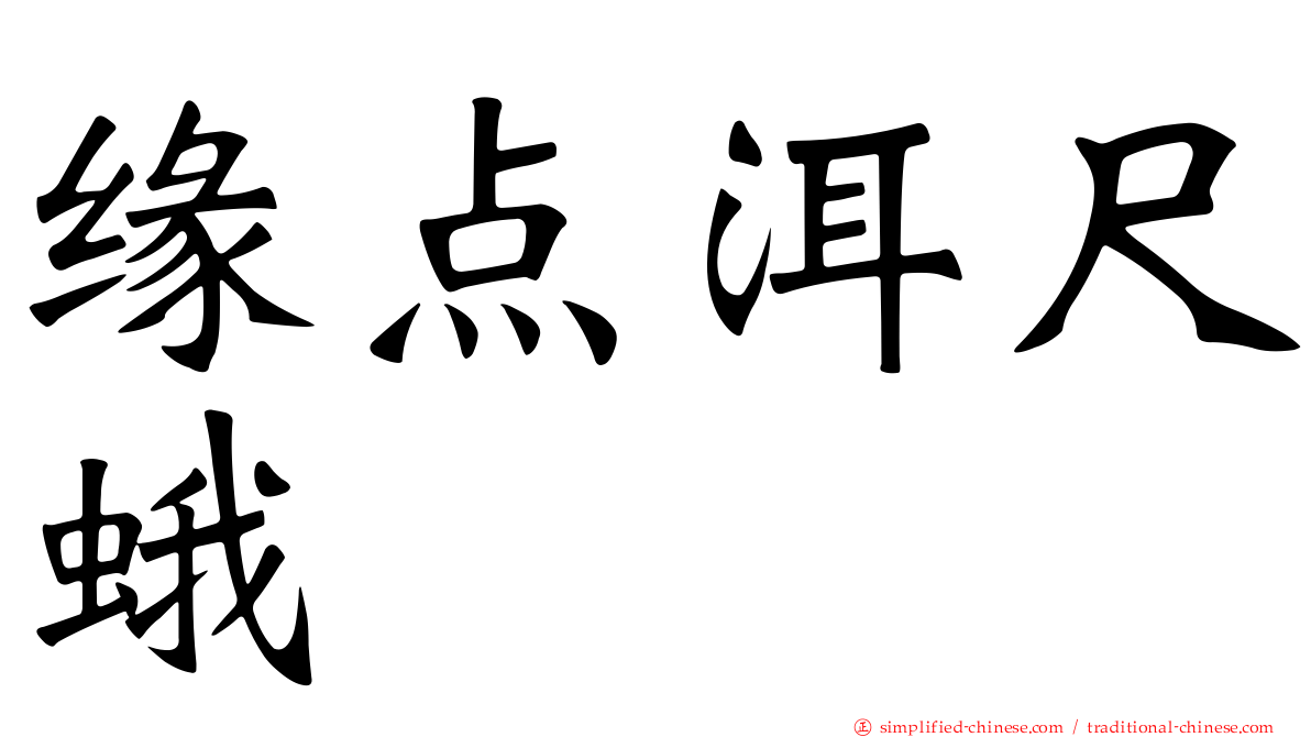 缘点洱尺蛾