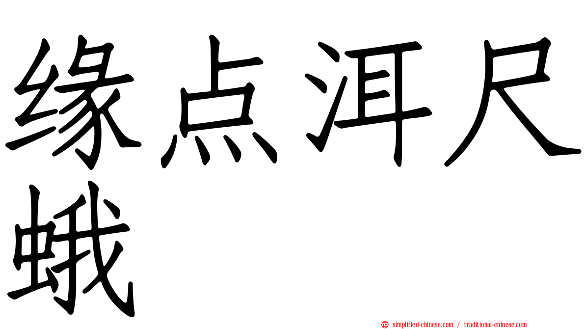 缘点洱尺蛾