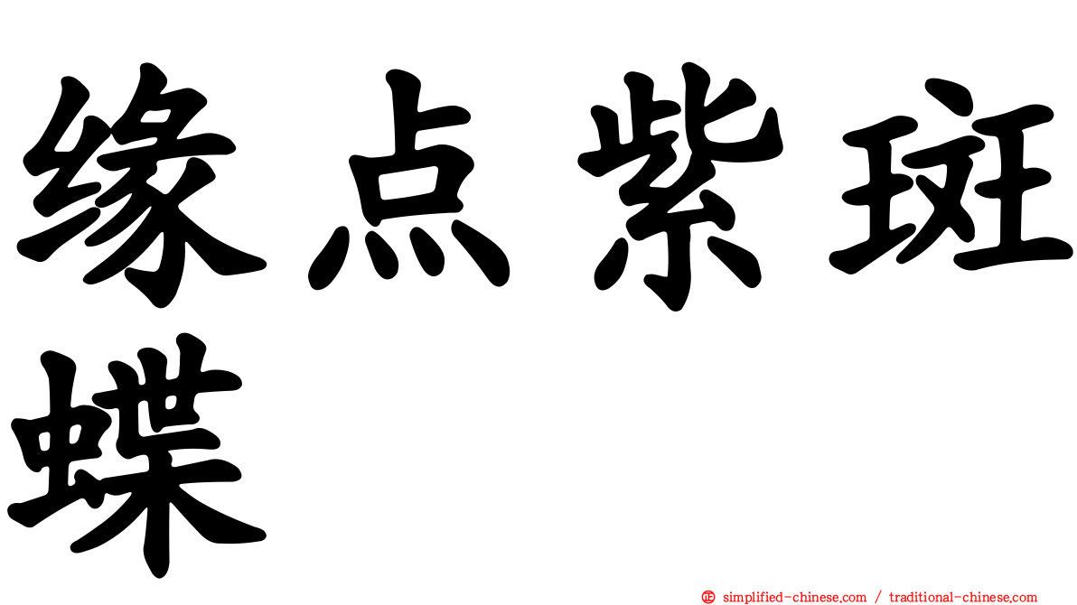 缘点紫斑蝶