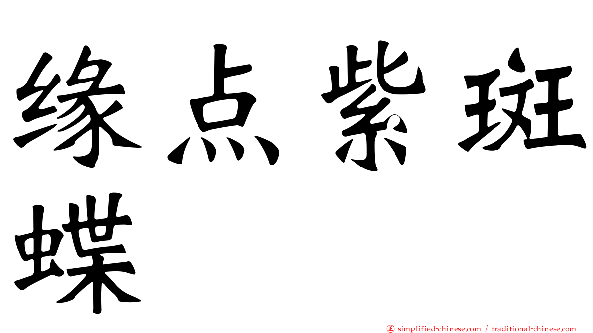 缘点紫斑蝶