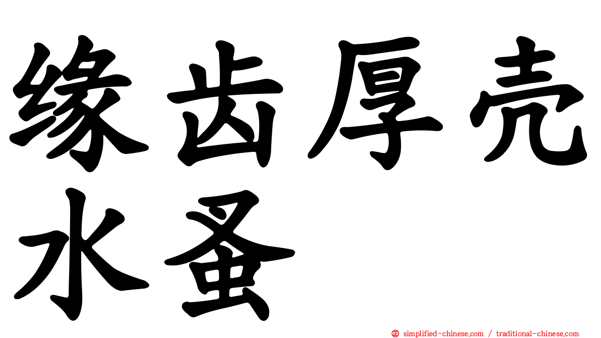 缘齿厚壳水蚤