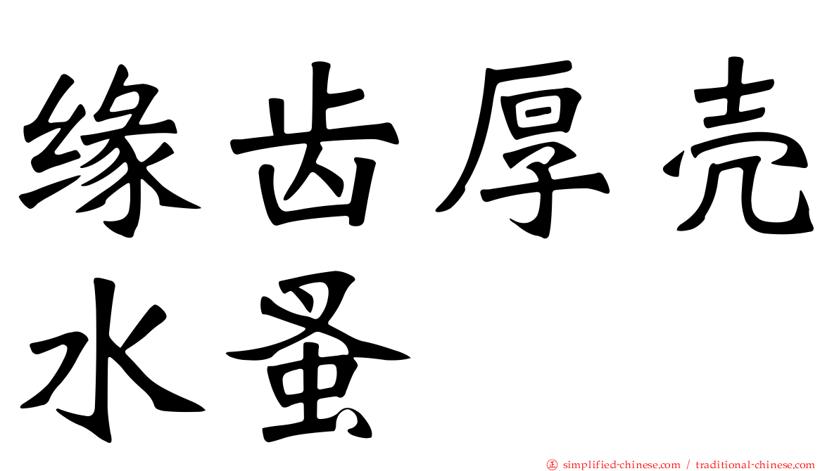 缘齿厚壳水蚤