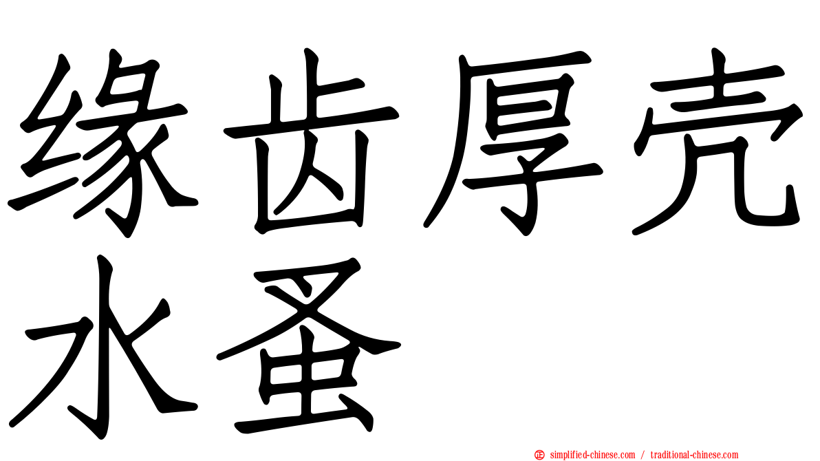 缘齿厚壳水蚤