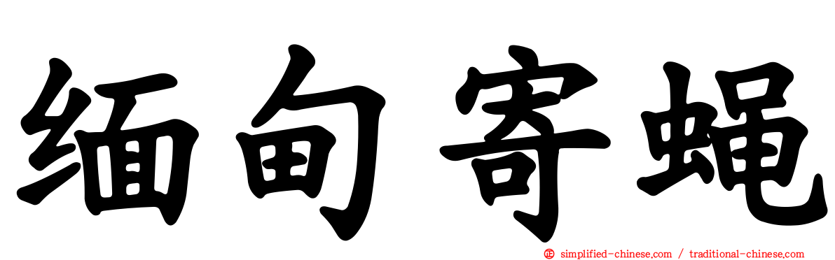 缅甸寄蝇