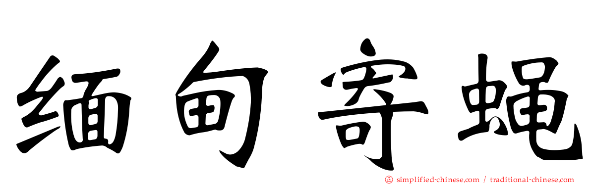 缅甸寄蝇