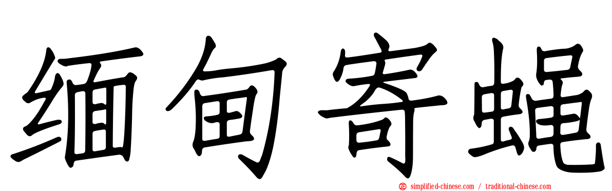 缅甸寄蝇